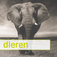 dieren